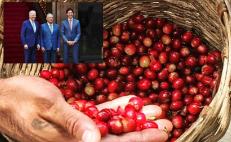 Café Pluma, un deleite oaxaqueño ofrecido a Biden y Trudeau en su visita a México