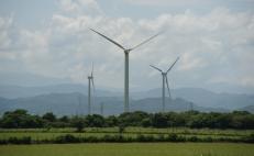 Parques eólicos anunciados por AMLO en el Istmo de Oaxaca “no serán negocio”, afirma experto