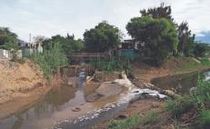 Sin rastro en Oaxaca de 120 mdp para rescate de ríos Atoyac y Salado