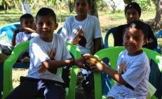 Escuelita del Cacao impulsa cultivo de esta semilla en comunidades de la Mixteca de Oaxaca