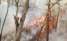 Incendio consume 2 mil hectáreas de bosques de la Mixteca de Oaxaca, tras 6 días de actividad