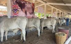 Ganaderos del Istmo de Oaxaca se suman a rechazo a decisión de importar carne de Brasil