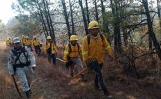 Reportan liquidación al 100% de dos frentes de incendio que devora bosques de la Mixteca de Oaxaca