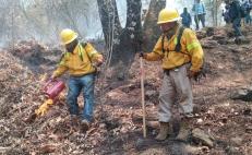Brigadistas y comuneros combaten al menos siete incendios forestales en Oaxaca; 4 han sido liquidados 