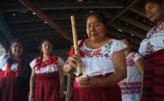 Arrancan foros en el Congreso de Oaxaca para crear una Ley Estatal del Mezcal 