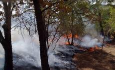 Oaxaca es el quinto estado más afectado por incendios forestales, reporta la Coesfo