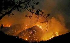 “No es suficiente” apoyo de Coesfo para combatir incendio en Mazaltepec, Oaxaca, advierte edil