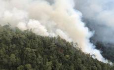 Condiciones climáticas en Oaxaca complican combate a incendio que devora bosques de Atatlahuca