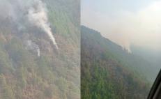 Dos incendios se extienden en selva de Los Chimalapas en Oaxaca; suman 6 en el año