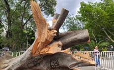 Artista de Oaxaca transforma árbol caído en el parque El Llano en un “llamado de auxilio”