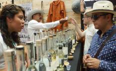 Interponen amparo contra suspensión de entrega de permisos para vender alcohol en la ciudad de Oaxaca 