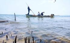 Alerta muerte de peces en lagunas del Istmo de Oaxaca; pescadores piden indagar si es por calor