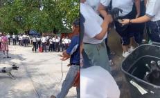 Tras denuncia por maltrato, director de secundaria de Juchitán ordena regresar a perritos al plantel