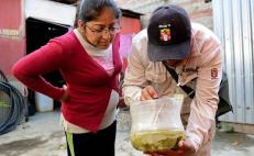 Dengue en Tuxtepec, Oaxaca: reporta Salud 11 casos confirmados y 184 por confirmar