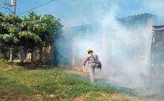Insecticida caduco aún servía contra mosco del dengue, se usó por austeridad: gobierno de Oaxaca