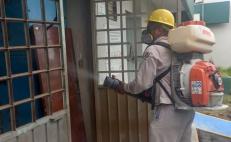 Llama IMSS  a no bajar la guardia ante dengue; con. 626 casos, Oaxaca ocupa sexto lugar nacional 