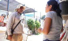 Acumula Oaxaca más de 900 casos confirmados de dengue y seis defunciones: SSO