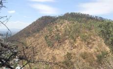 Advierten “madrugete” de regidores para quitar protección a áreas naturales de la ciudad de Oaxaca
