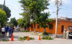 Fuertes vientos por frente frío 6 dejan sin electricidad una docena de comunidades de Oaxaca