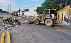 Por lío entre tribus de Morena, tiran una tonelada de basura en Juchitán, Oaxaca