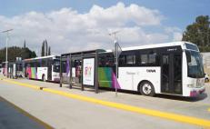 Anuncian regreso del Citybus en Oaxaca: dos rutas funcionarán gratis por dos semanas