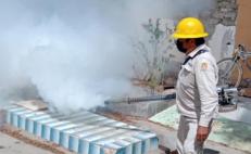 Suma Oaxaca mil 400 casos de dengue; los Valles Centrales concentran más de 70% de contagios