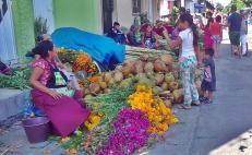Altos precios y sequía asfixian al Xandú zapoteca; tradición que languidece en Oaxaca