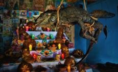 Chiltepec, pueblo chinanteco de Oaxaca con altares de yuca, iguana y pejelagarto