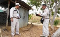 Suma Oaxaca un total de mil 660 casos de dengue durante 2023