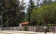 Adeuda Gobierno de Oaxaca finiquito a más de 70 extrabajadores despedidos del Cobao