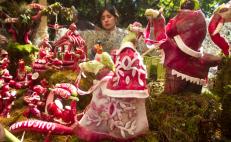 Por primera vez la ciudad de Oaxaca tendrá desfile de rábanos, previo a la centenaria tradición