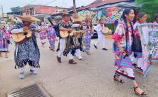 Con "Flor de Piña", celebran 20 años de la Calenda Sotoventina y la identidad jarocha de Oaxaca
