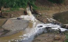 Ignora gobierno de Jara si se ejercieron 120 mdp para rescate y saneamiento de 2 ríos en Oaxaca