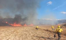 Incendio consume dos hectáreas de pastizales en polígono de Zona Arqueológica de Monte Albán