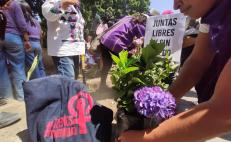 Asesinan a mujer y hieren a niño en Pinotepa; van 9 víctimas de violencia feminicida en Oaxaca