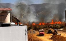 Fuego consume Bosque El Tequio en Oaxaca; alertan falta de agua para combatir incendios