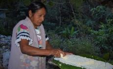 Yuca, un tubérculo símbolo gastronómico del mestizaje afro e indígena en Oaxaca