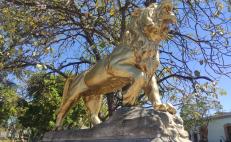 Regresan esplendor a leones del parque El Llano en la ciudad de Oaxaca, tras vandalismo