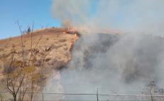 Liquidan en Oaxaca incendio en poligonal de Monte Albán y controlan el de San Miguel Peras