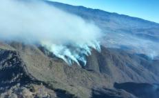 Enfrenta Oaxaca situación crítica por 51 incendios forestales; sequía los hace más explosivos: Coesfo