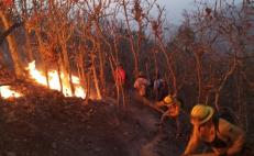 Un nuevo incendio consume sierra Mixe-zapoteca de Oaxaca; hay 6 siniestros activos en el estado