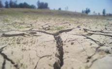 Atraviesan 59 municipios de Oaxaca sequía extrema; Mixteca y Sierra Sur, las más afectadas 