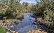 Se deslinda titular de Medio Ambiente de Oaxaca de sentencia para rescatar ríos Atoyac y Salado