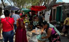 Celebran el tradicional Domingo de Ramos en Juchitán, Oaxaca