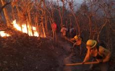 Por incendios forestales en Oaxaca, prohíben en Putla de Guerrero tumba, roza y quema