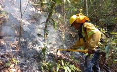 Liquidan cuatro incendios forestales en la Sierra de Juárez y Mixteca de Oaxaca