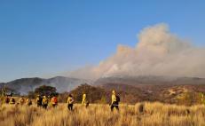 Controlan incendio forestal en la Mixteca de Oaxaca que amenazaba dos agencias