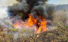 Comité de Defensa de Los Chimalapas exige desde Oaxaca más recursos para combatir incendios