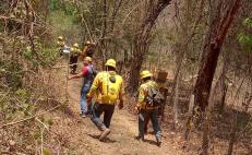 Reportan controlado al 100% incendio forestal entre Huatulco y San Miguel del Puerto, Oaxaca 