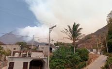 Incendio consume bosques de Lachiguiri en Oaxaca, hogar de venado, tapir y gato montés